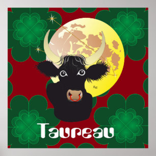 Posters principales de Taureau 21 avril au 20