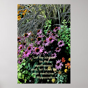Posters púrpuras de Coneflower