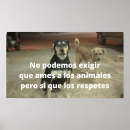 Posters respeto a los animales