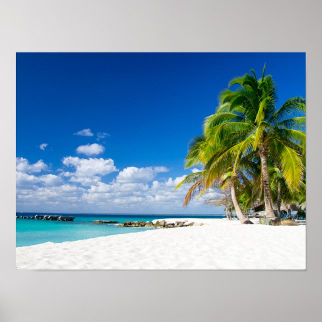 Posters - Sous le soleil des tropiques (Frente)