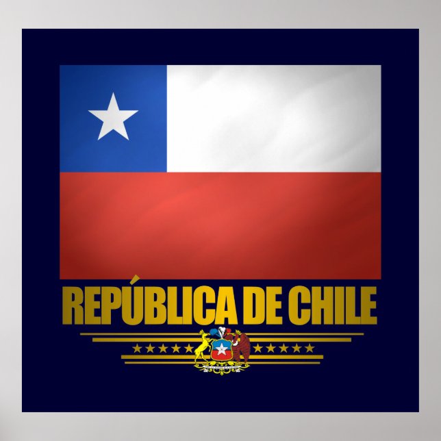 posters y pinturas del "Orgullo Chileno" (Frente)
