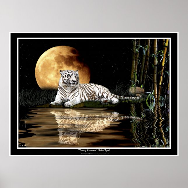 POSTERS Y TIGRES BLANCOS RAROS Y LUNA (Frente)