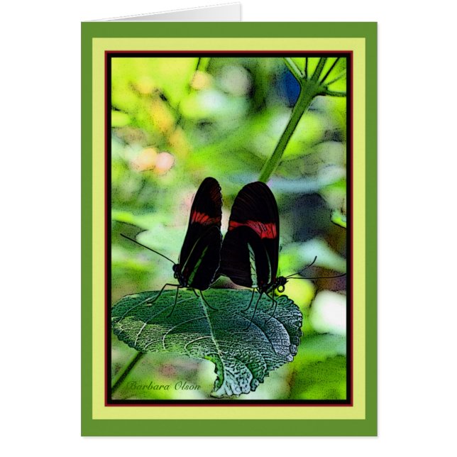 Postman rojo: mariposa (Frente)