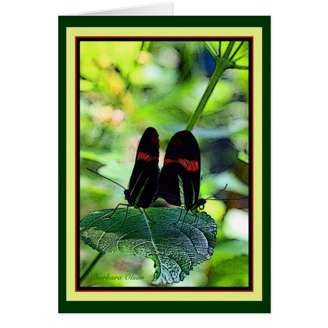 Postman rojo: mariposa (Frente)