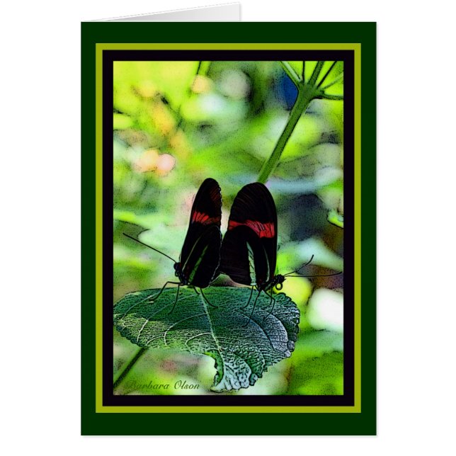 Postman rojo: mariposa (Frente)