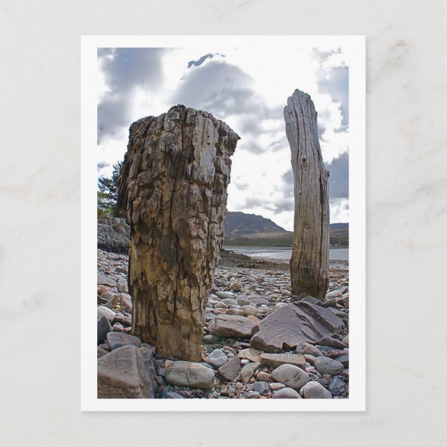 Posts netos de Weathered por postal de Loch Kishor (Anverso)