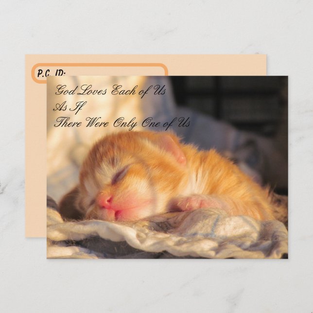 Posttravesar la postal - Dios nos ama con gatito (Anverso / Reverso)