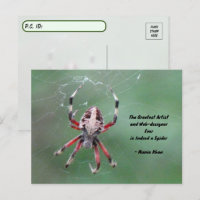 Posttravesar la tarjeta postal de Spider Orbweaver