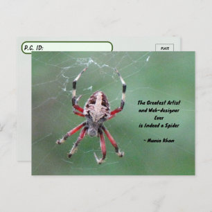Posttravesar la tarjeta postal de Spider Orbweaver