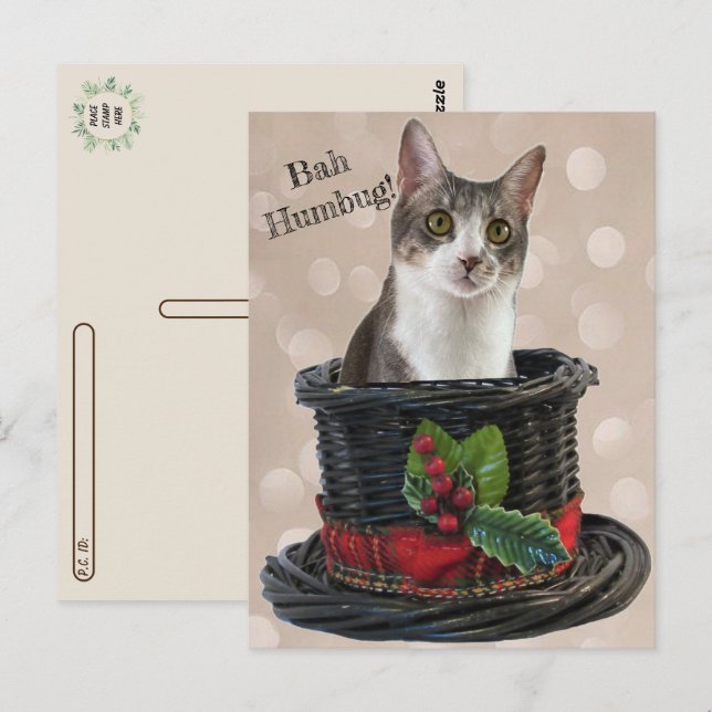 Posttravesía - Bah Humbag Tito La postal del gato (Anverso / Reverso)