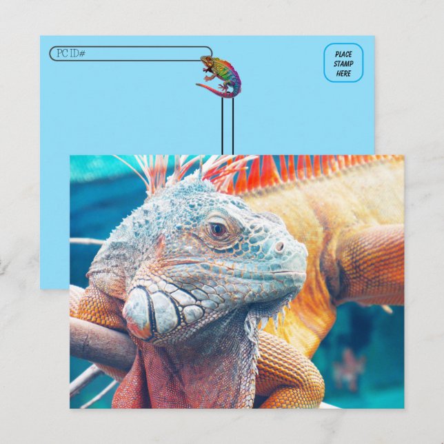 Posttravesía - Hermosa postal iguana (Anverso / Reverso)