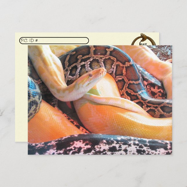 Posttravesía - Papel postal de Den of Snakes (Anverso / Reverso)