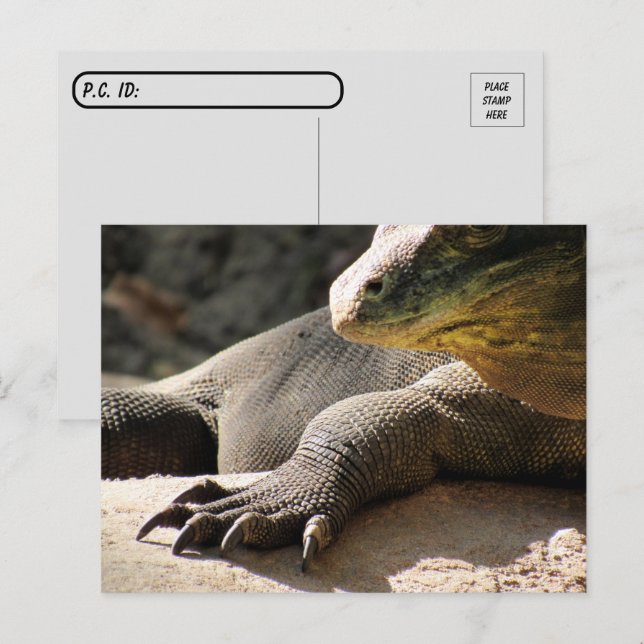 Posttravesía - Tarjeta postal Komodo Dragon (Anverso / Reverso)