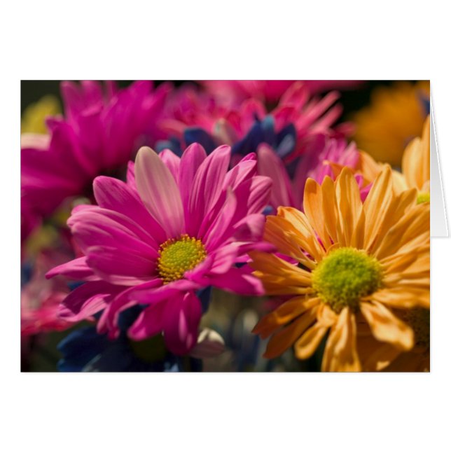 Potencia de flor (Anverso (Horizontal))