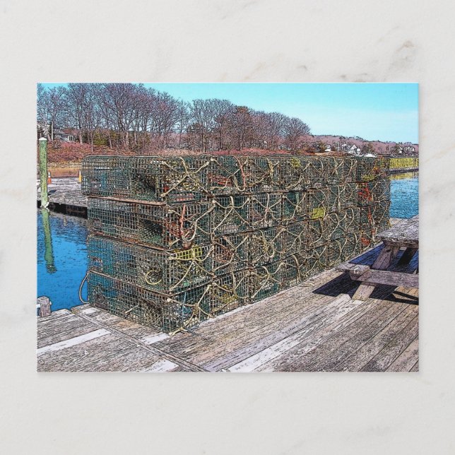 Potes de langosta, puerto de York, Maine - postal (Anverso)