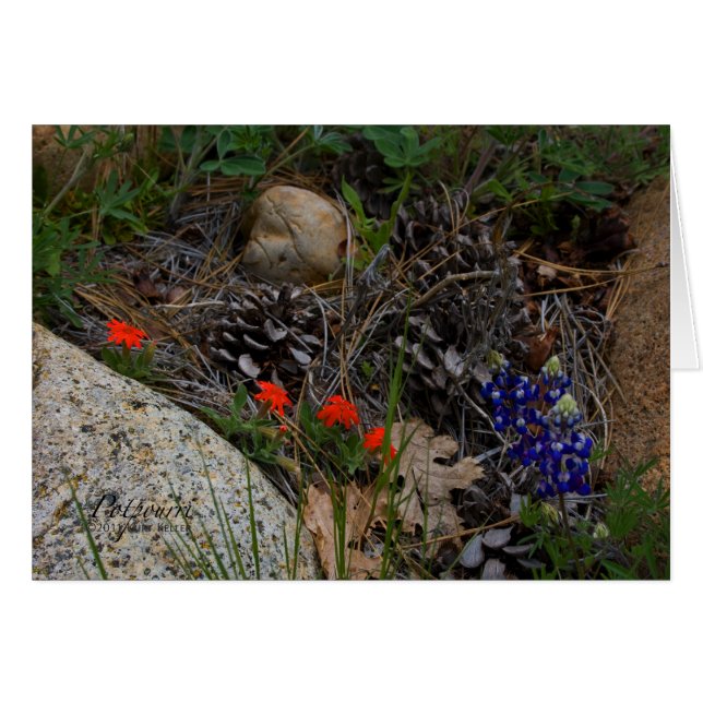 Potpourri (Anverso (Horizontal))