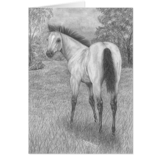 Potra del ante (Frente)