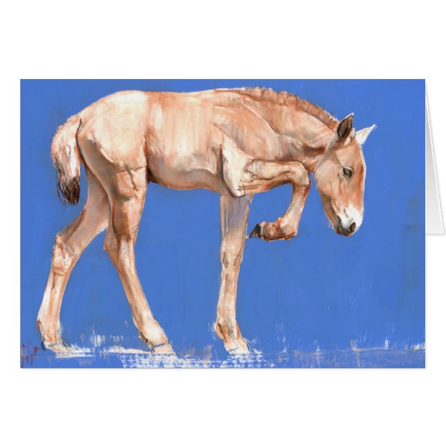 Potro 2012 de Przewalski (Anverso (Horizontal))