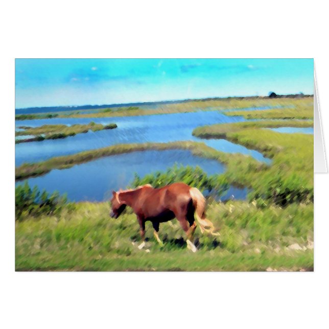 Potro de Assateague (Anverso (Horizontal))