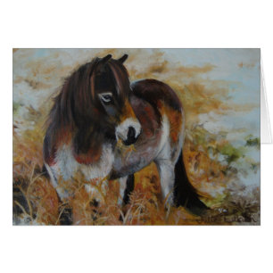 Potro de Exmoor