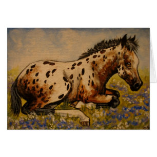Potro del Appaloosa