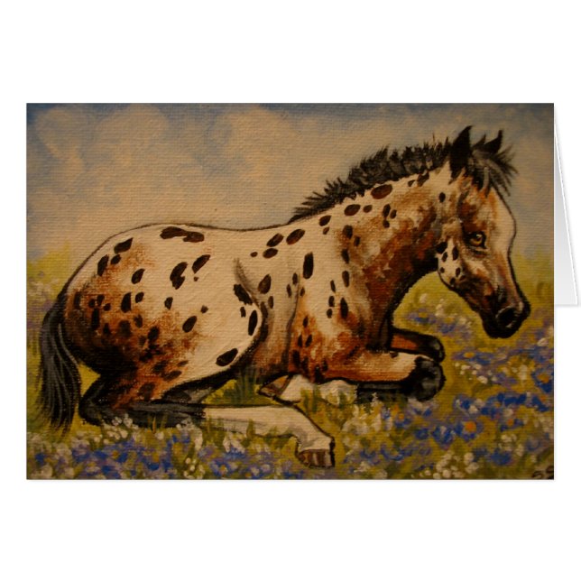 Potro del Appaloosa (Anverso (Horizontal))