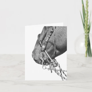 Potro en Two Rein - Tarjeta de 4" x 5.6"
