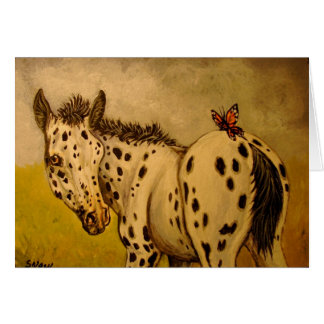 Potro y mariposa del Appaloosa