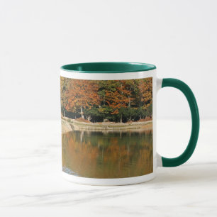 Potros que beben la taza