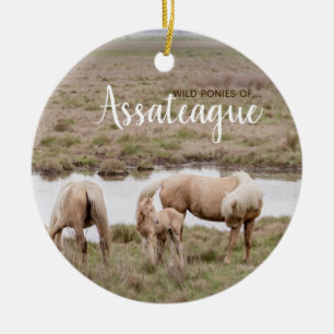 Potros salvajes del ornamento de Assateague