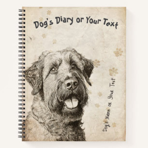 Praderas Parisinas: Diario Vintage de un Briard Fr
