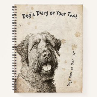 Praderas Parisinas: Diario Vintage de un Briard Fr