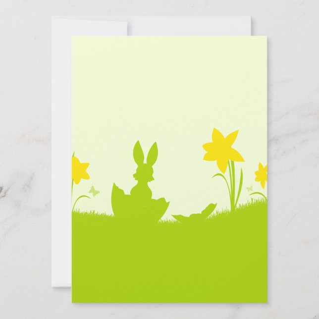 Prado conejito de pascua narciso (Anverso)