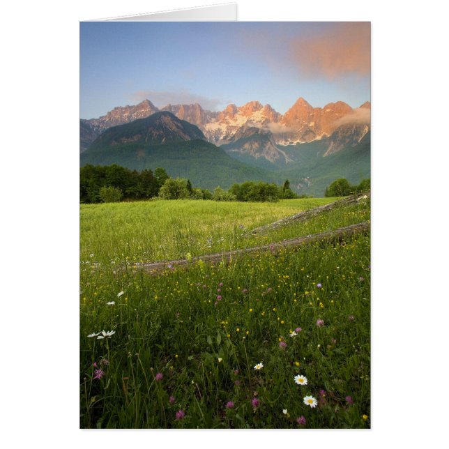 Prado de Eslovenia (Frente)