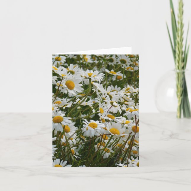 Prado de flores felices - Margarita sonriente con  (Anverso)