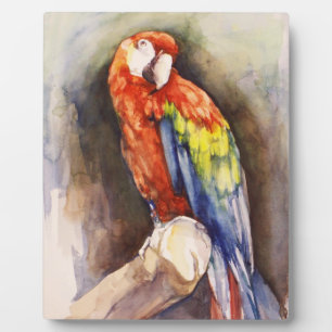 Preciosa placa de loro