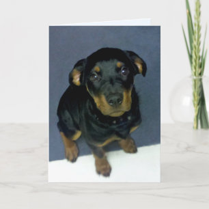 Preciosa tarjeta de felicitación Rottweiler Puppy 