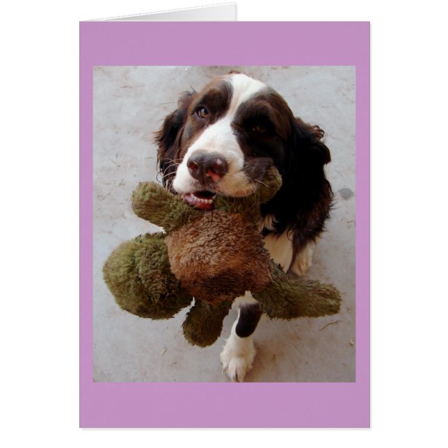 Precioso cachorro (Frente)