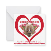 Precioso Poni en Tarjetas del Día de San Valentín