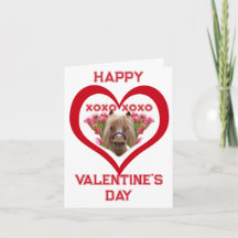 Precioso Poni en Tarjetas del Día de San Valentín