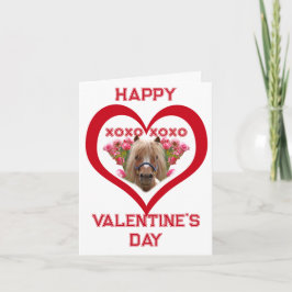 Precioso Poni en Tarjetas del Día de San Valentín