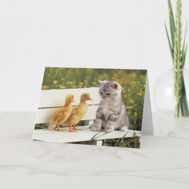 Preciosos Gatos, Tarjetas Gatitas, Regalos - ¡Pers (Anverso)