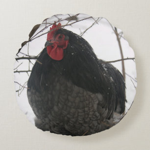 Precious - Rooster sobre almohada redonda