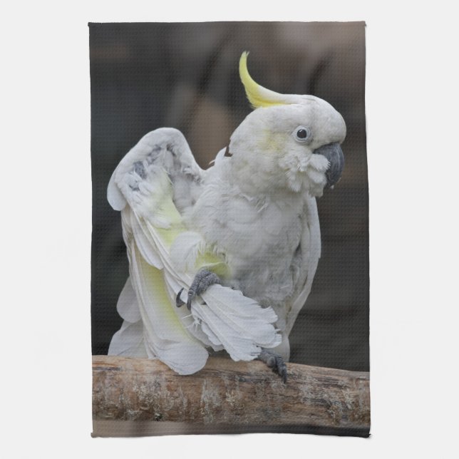 Preening Cockatoo Kitchen Toalla (Vertical)