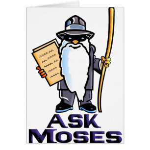 Preguntar a Moses