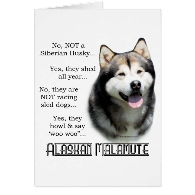 Preguntas frecuentes de Alaskan Malamute (Frente)