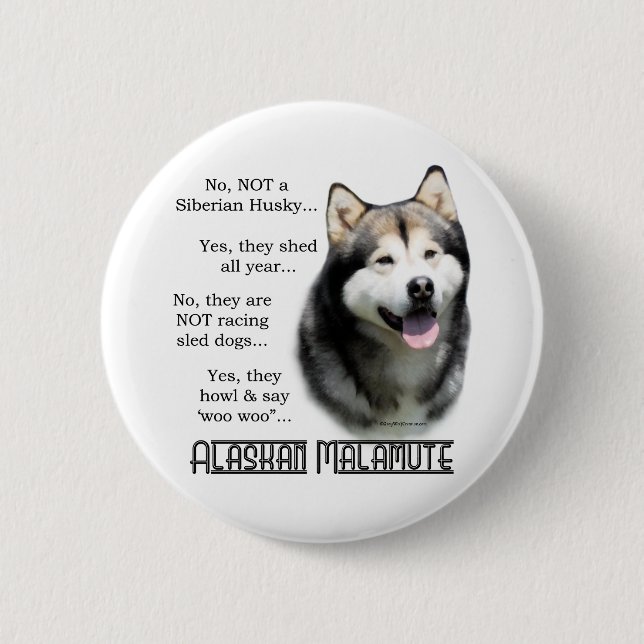 Preguntas frecuentes de Alaskan Malamute - botón (Anverso)