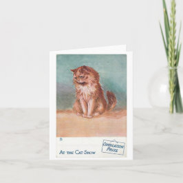 Premio de consolación en el programa de gatos de L