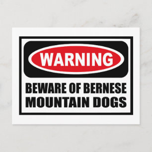 PREOCUPACIÓN DE LA postal DE PERROS DE MONTAÑA BER