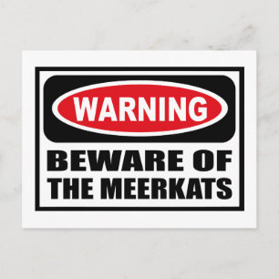 PREOCUPACIÓN DE LA postal MEERKATS